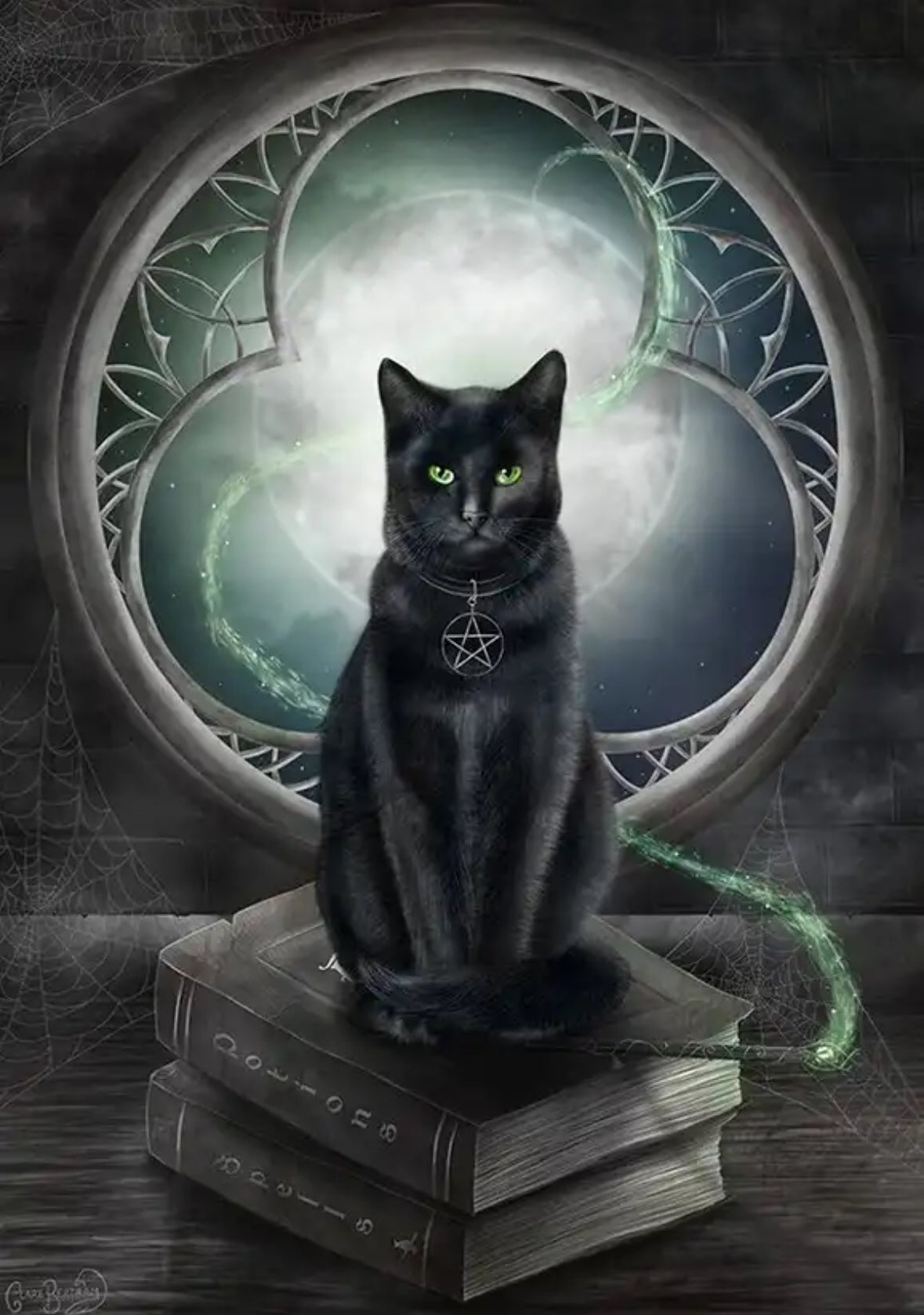 Mystical Black Cat