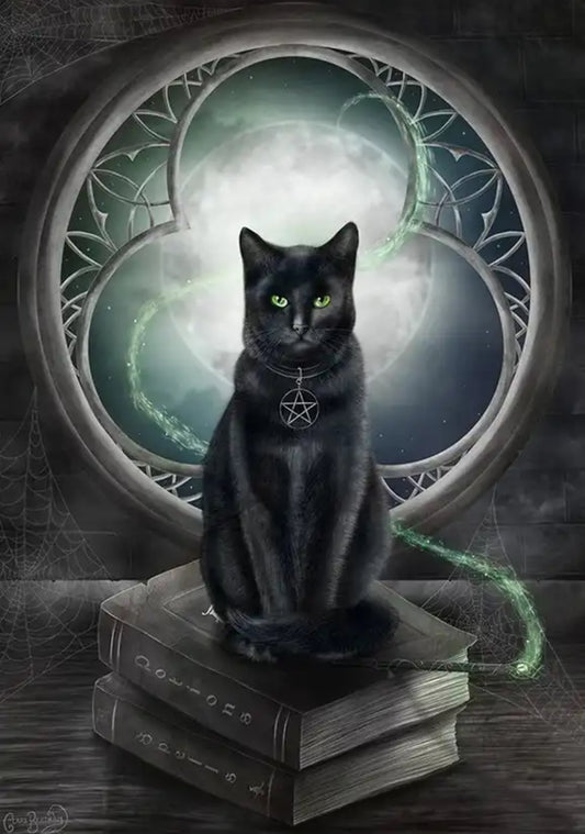 Mystical Black Cat